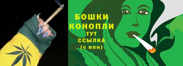 трава Богданович