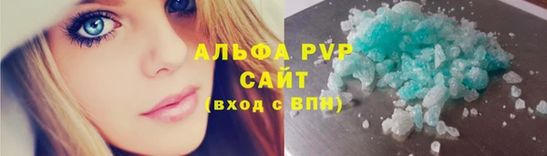 стаф Белокуриха