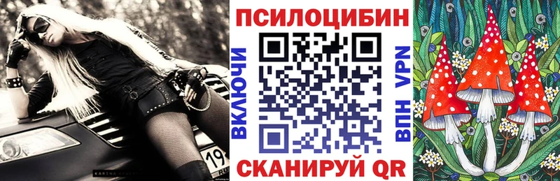 кракен маркетплейс  Шагонар  Галлюциногенные грибы Cubensis 