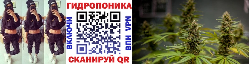 Канабис VHQ  купить наркотики сайты  Шагонар 